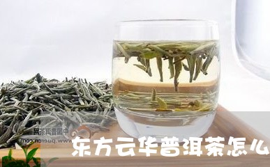 东方云华普洱茶怎么样/2023082839615