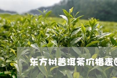 东方树普洱茶价格表图片/2023112861514