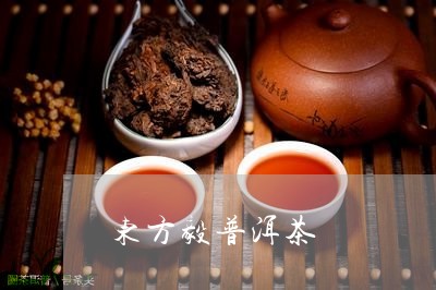 东方毅普洱茶/2023042994735