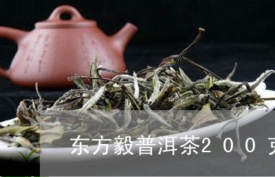 东方毅普洱茶200克/2023120696160