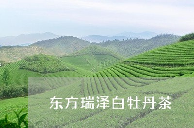 东方瑞泽白牡丹茶/2023061419370