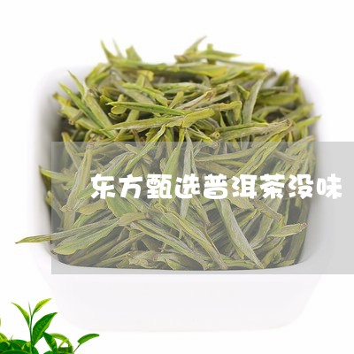 东方甄选普洱茶没味/2023101641146