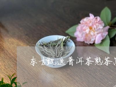 东方甄选普洱茶熟茶怎么喝/2023110293525