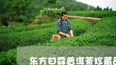 东方甘霖普洱茶珍藏品/2023062071705