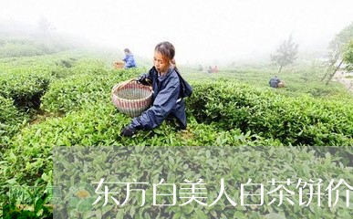 东方白美人白茶饼价格/2023092760694