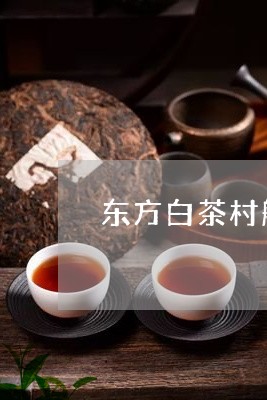 东方白茶村船型茅屋/2023071402603