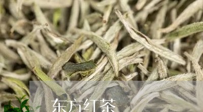 东方红茶/2023121997259