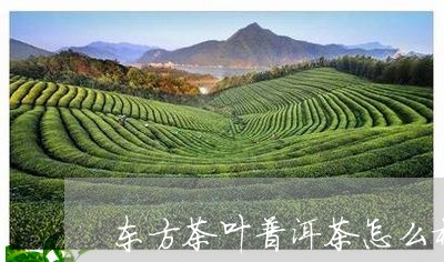 东方茶叶普洱茶怎么样啊/2023120718594