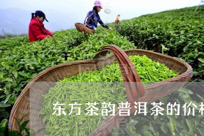 东方茶韵普洱茶的价格/2023080333027