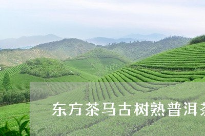 东方茶马古树熟普洱茶/2023073095147