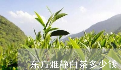 东方雅静白茶多少钱/2023071481615