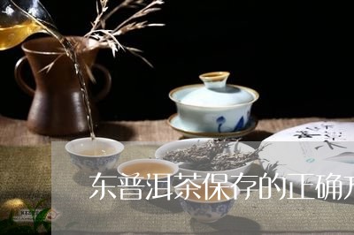 东普洱茶保存的正确方法/2023112801592