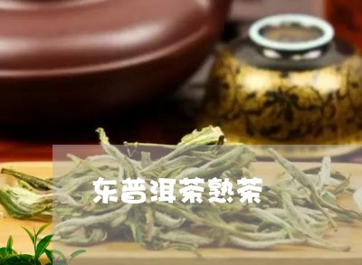 东普洱茶熟茶/2023042828384