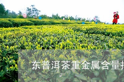 东普洱茶重金属含量排名/2023082797461