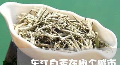 东江白茶在哪个城市/2023071455847