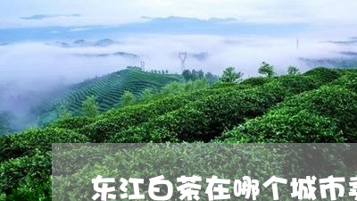 东江白茶在哪个城市卖/2023092773714