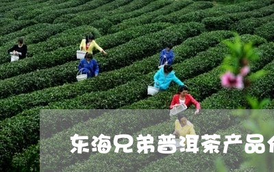 东海兄弟普洱茶产品介绍/2023102487380