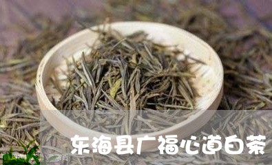 东海县广福心道白茶/2023071406269