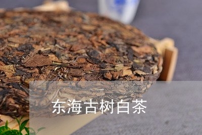 东海古树白茶/2023051247240