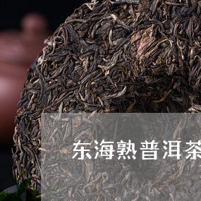 东海熟普洱茶/2023042667284