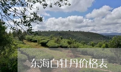 东海白牡丹价格表/2023090664816