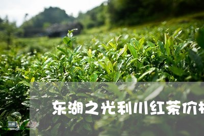 东湖之光利川红茶价格/2023071573958