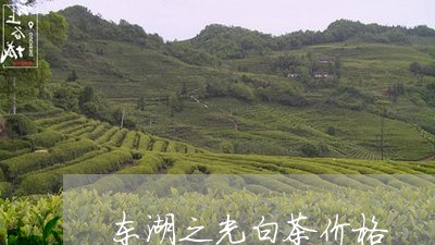 东湖之光白茶价格/2023061411604