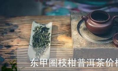 东甲圈枝柑普洱茶价格/2023072328261