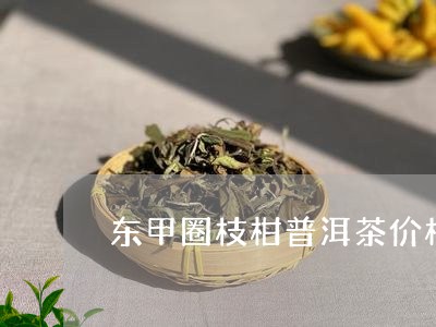 东甲圈枝柑普洱茶价格/2023092825930