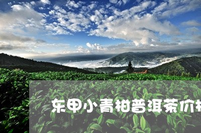 东甲小青柑普洱茶价格/2023061674948