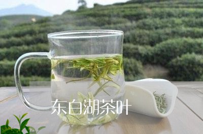 东白湖茶叶/2023090276258