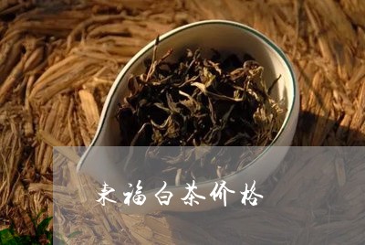 东福白茶价格/2023051271505