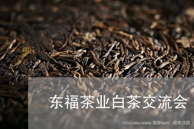 东福茶业白茶交流会/2023121633948