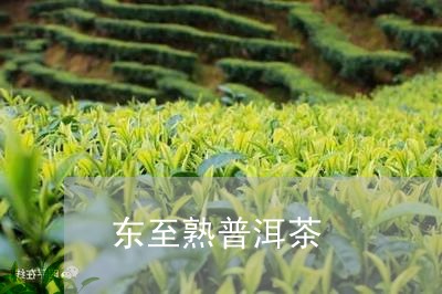 东至熟普洱茶/2023042836294