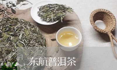 东航普洱茶/2023090621405