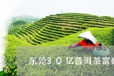 东莞30亿普洱茶富豪/2023062426279