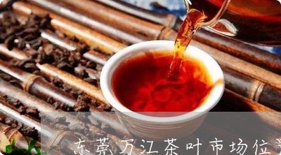 东莞万江茶叶市场位置/2023061128360