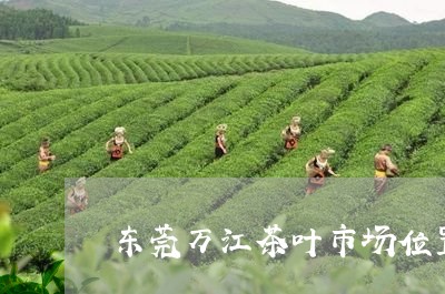 东莞万江茶叶市场位置/2023092387030