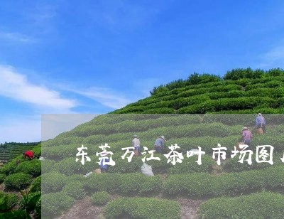 东莞万江茶叶市场图片佛山茶叶市场/2023060497179