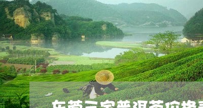 东莞三宝普洱茶价格表/2023112791704