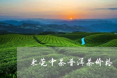 东莞中茶普洱茶价格/2023120523726