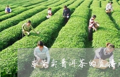 东莞卖普洱茶的直播间/2023120767479