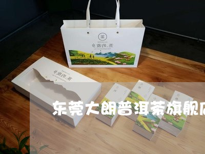 东莞大朗普洱茶旗舰店/2023092683725