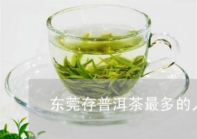 东莞存普洱茶最多的人/2023112795835