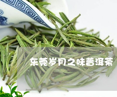 东莞岁月之味普洱茶/2023082895058