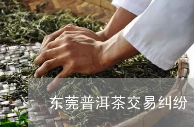 东莞普洱茶交易纠纷/2023120539382