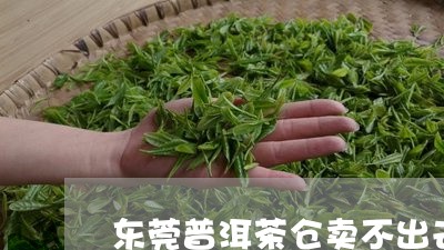 东莞普洱茶仓卖不出去/2023072375936