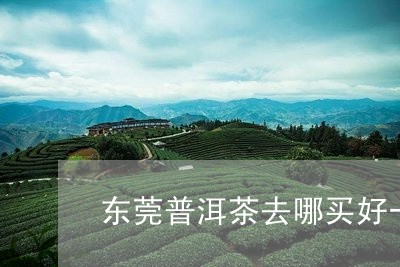 东莞普洱茶去哪买好一点/2023050429470