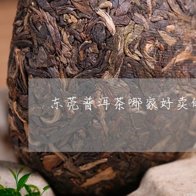 东莞普洱茶哪家好卖的最正宗/2023082865161