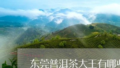 东莞普洱茶大王有哪些/2023080250592